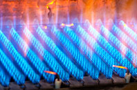 Millisle gas fired boilers